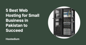best web hosting for small business in pakistan